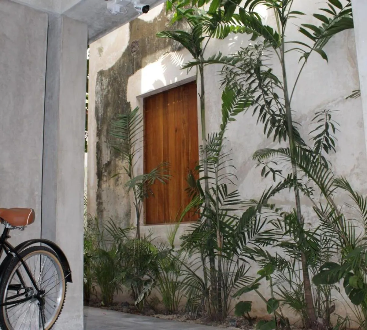 Mayapan Merida Historic Center Lägenhet