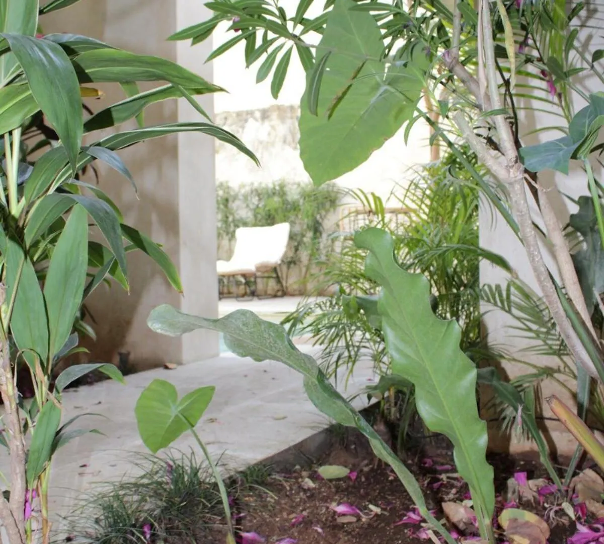 Mayapan Merida Historic Center